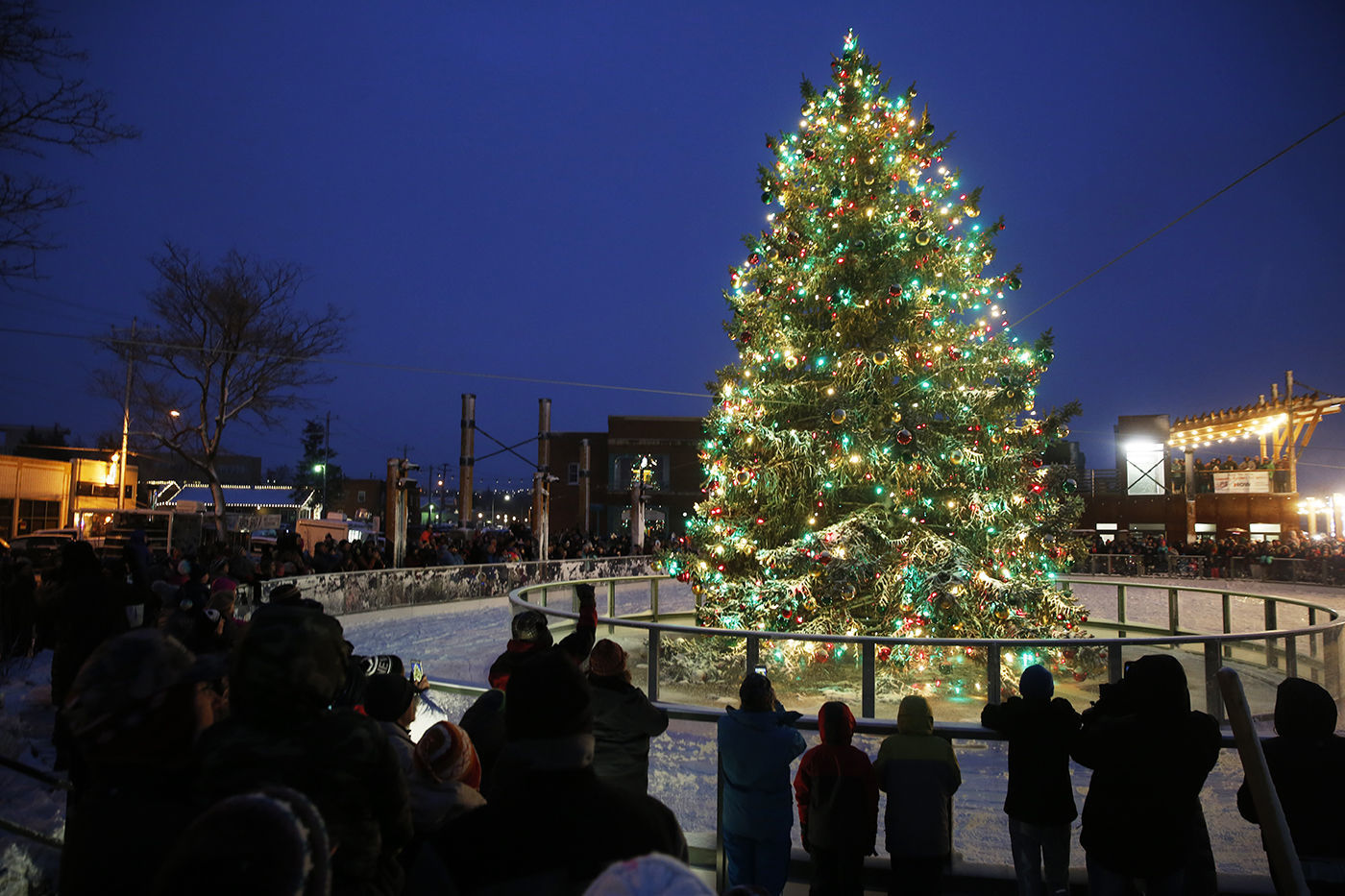 Christmas Tree Parade